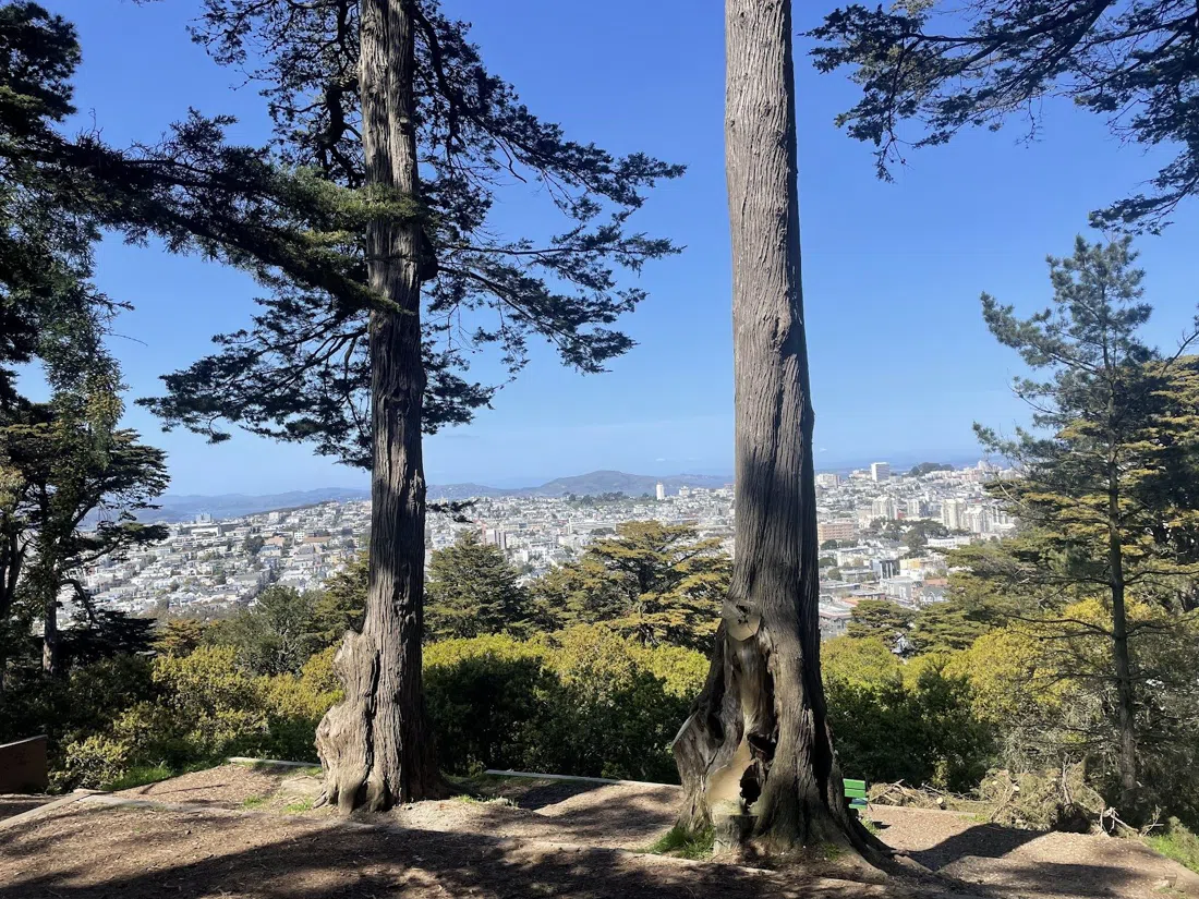 Buena Vista Park, San Francisco