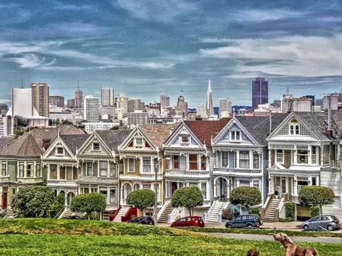 San Francisco's Victorians: The Houses the 1906 Quake Spared