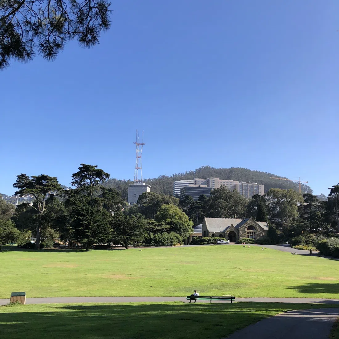Hippie Hill, Robin Williams Meadow, San Francisco