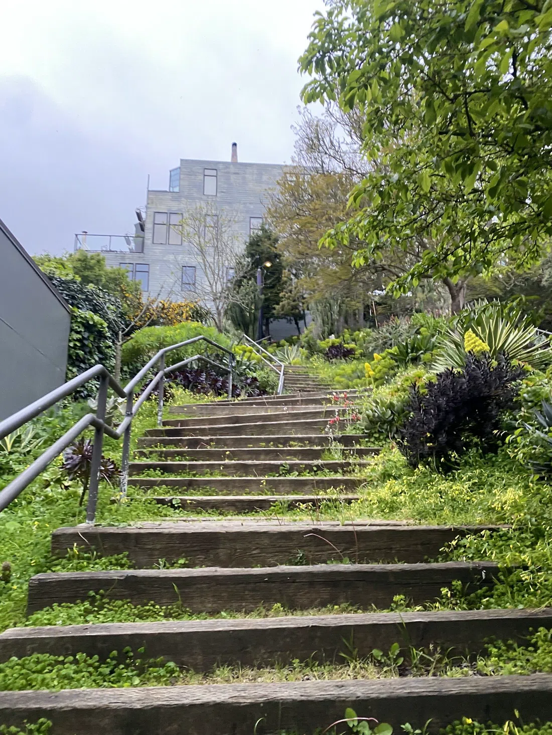 Saturn Street Steps, San Francisco