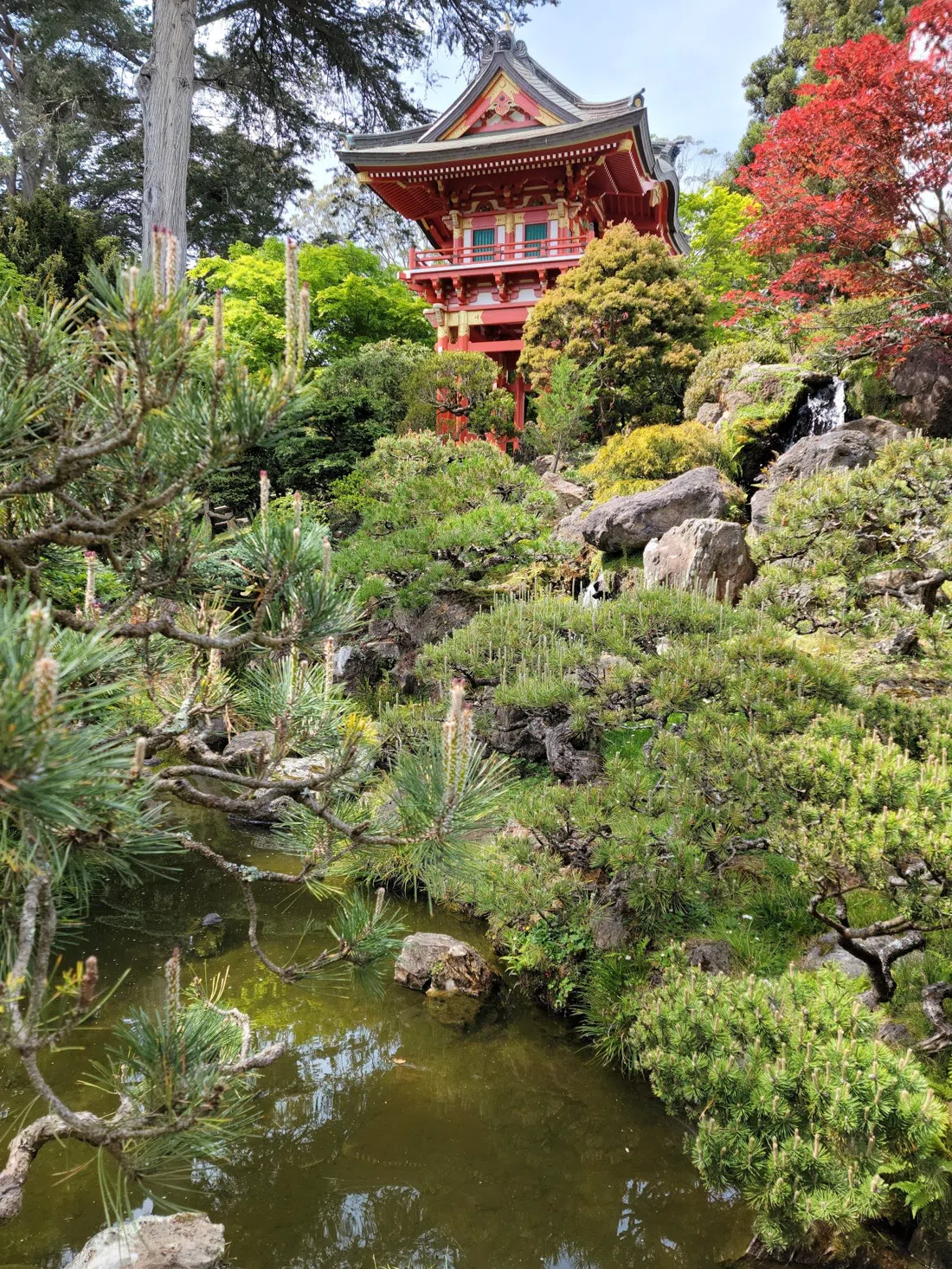 日本茶園、サンフランシスコ