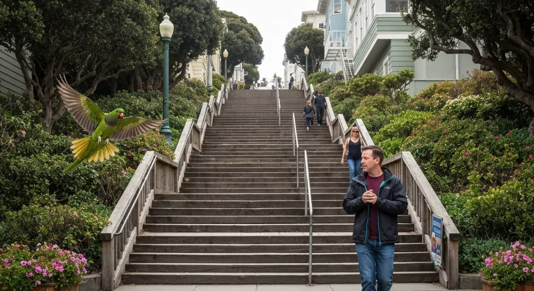 las Filbert Steps subiendo Telegraph Hill a través del Grace Marchant Garden, con escaleras de madera, vegetación florida y un loro verde silvestre en vuelo