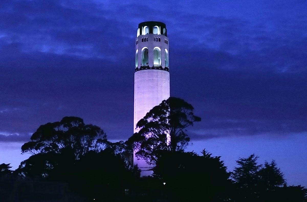 Coit Tower — photo 2
