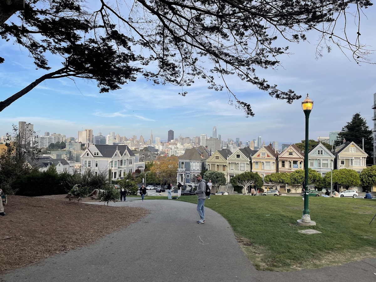 Painted Ladies — photo 5