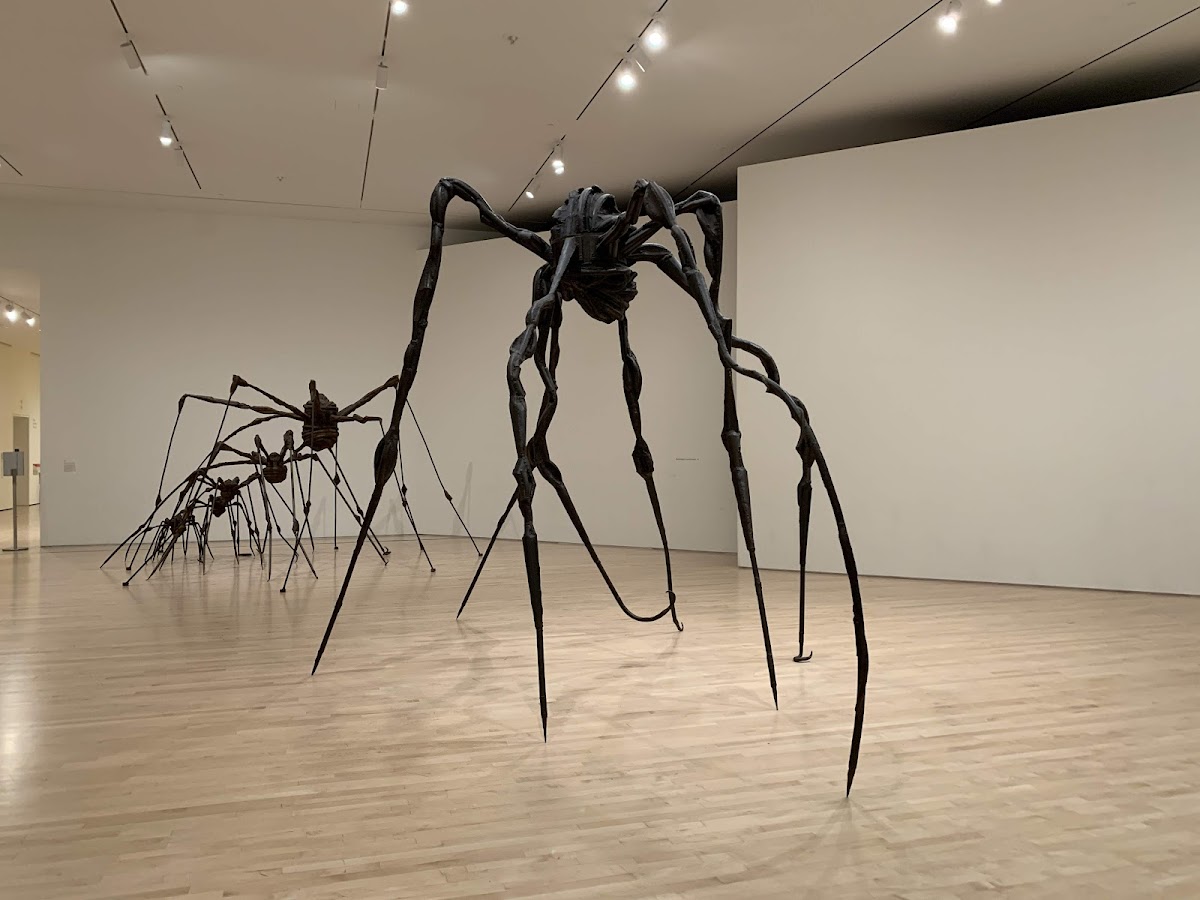 SFMOMA — photo 4