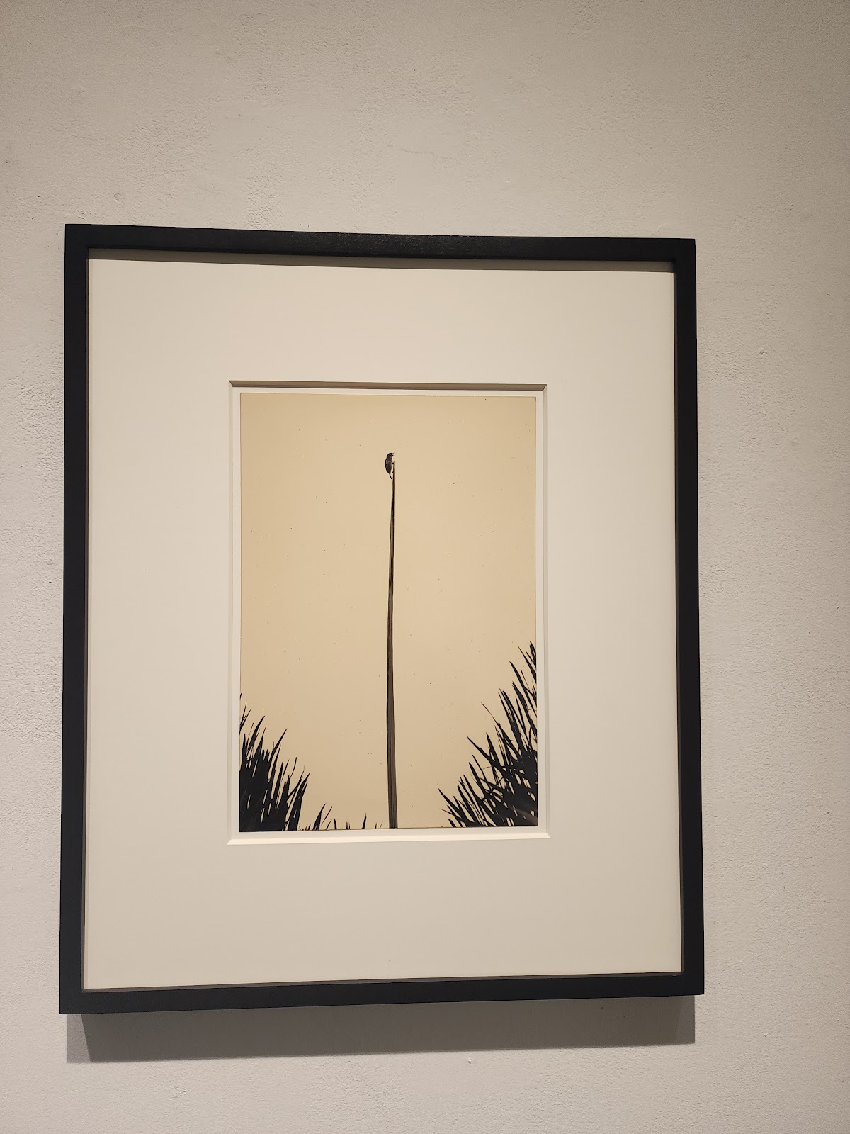 Fraenkel Gallery — photo 2
