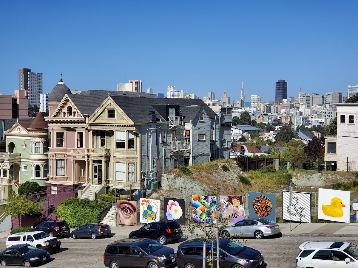 Painted Ladies — photo 3