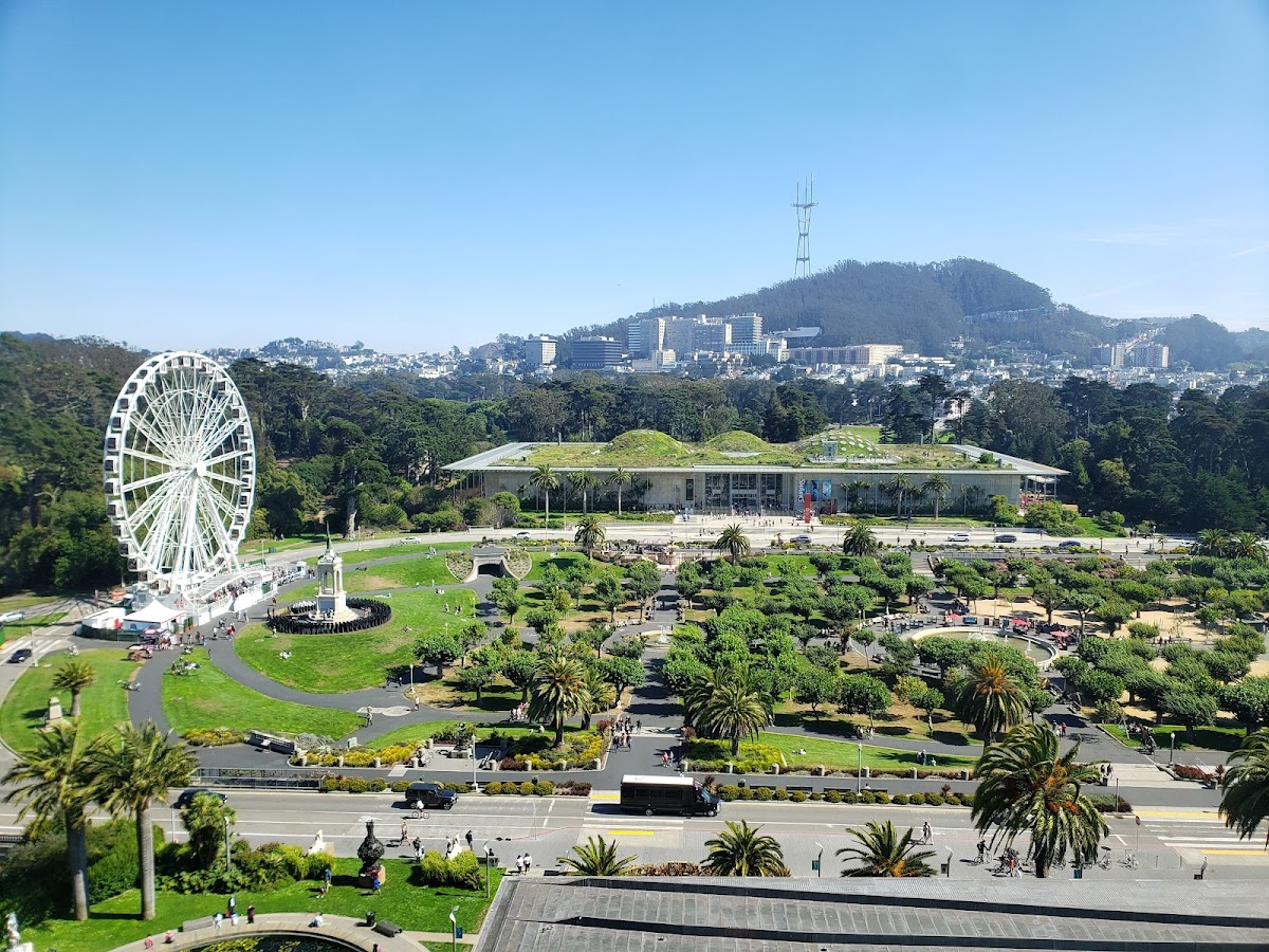 de Young Museum — photo 6