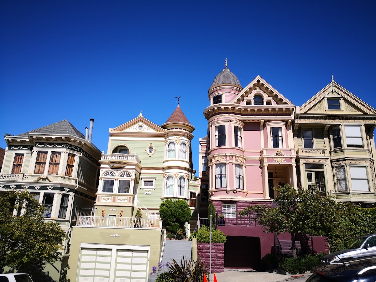 Painted Ladies — photo 2