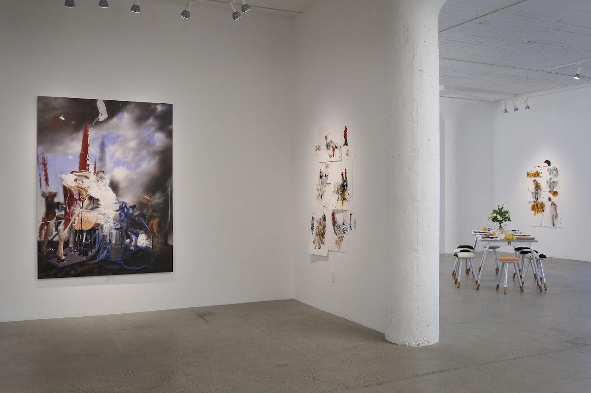 Catharine Clark Gallery — photo 2