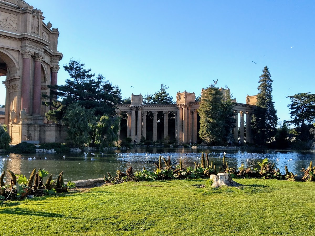 Palace of Fine Arts — photo 3