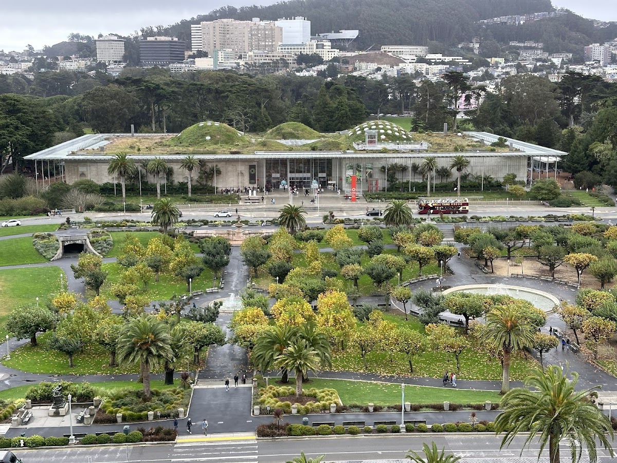 de Young Museum — photo 3