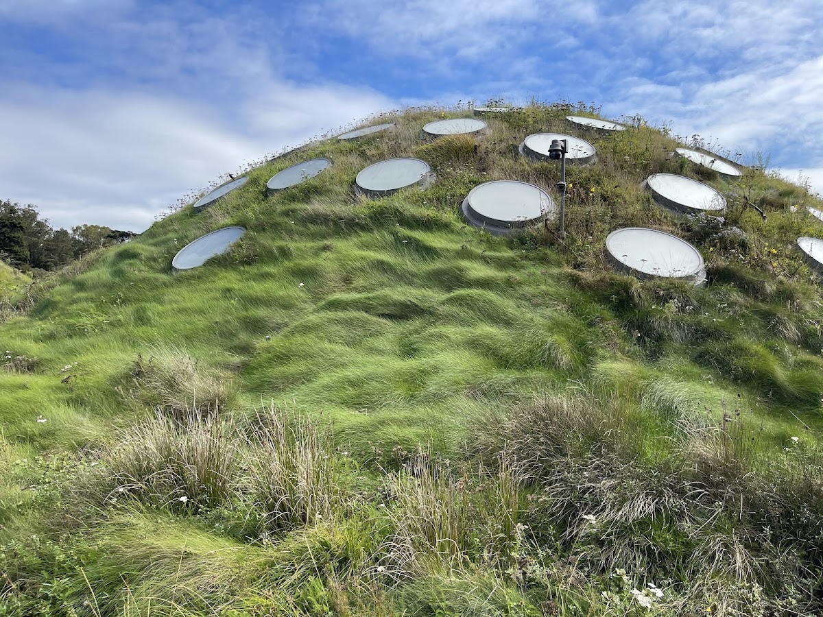 California Academy of Sciences — photo 3