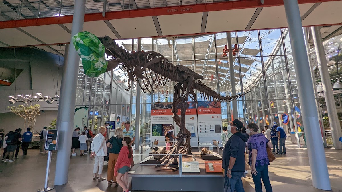 California Academy of Sciences — photo 2