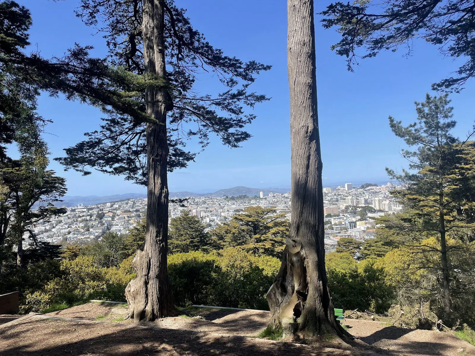 Buena Vista Park, San Francisco